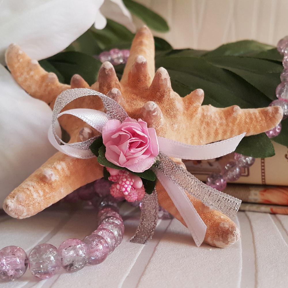 A authentic star seashell
