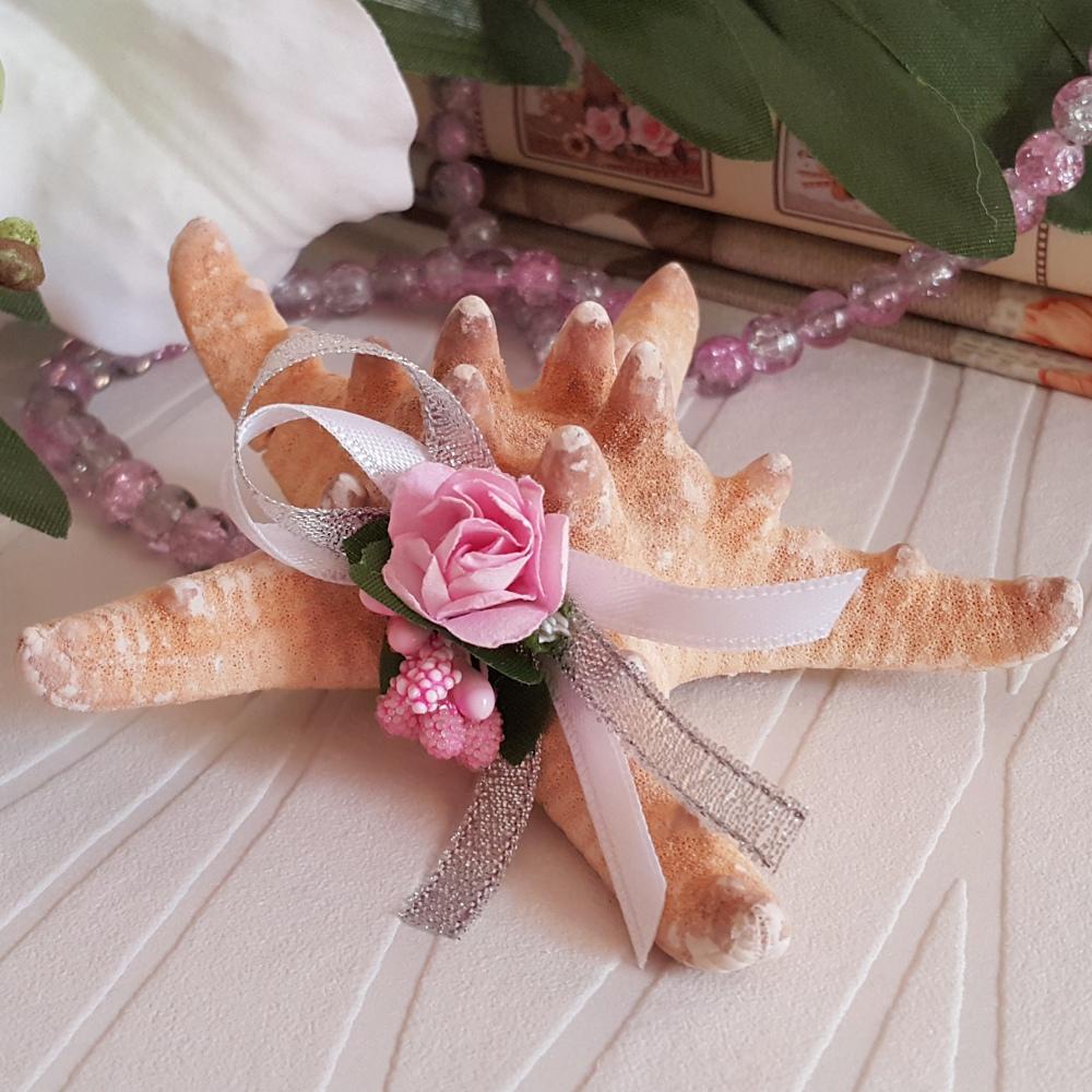 A authentic star seashell