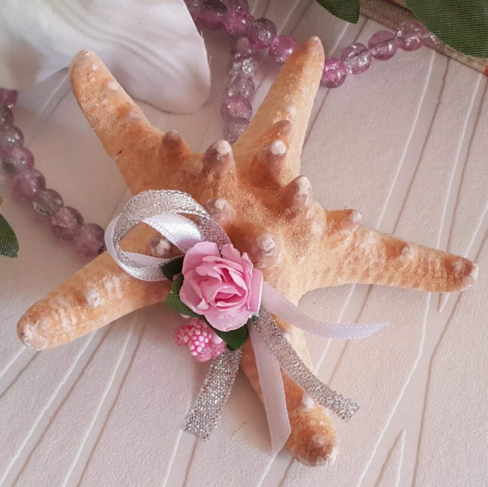 A authentic star seashell