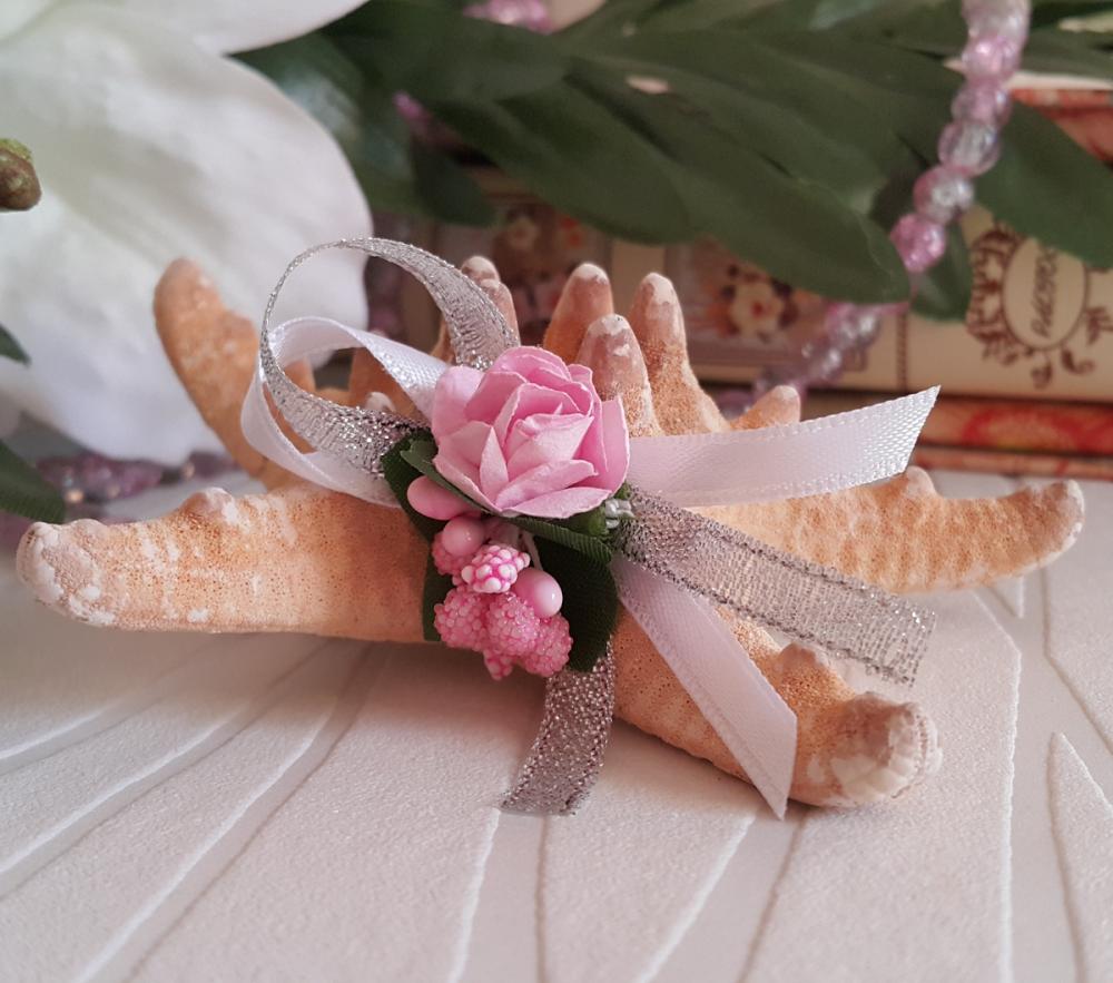 A authentic star seashell